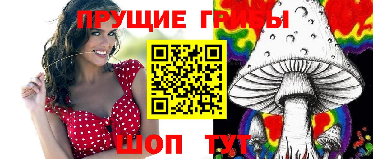 Псилоцибиновые грибы Psilocybe  Вход с VPN  Бор 