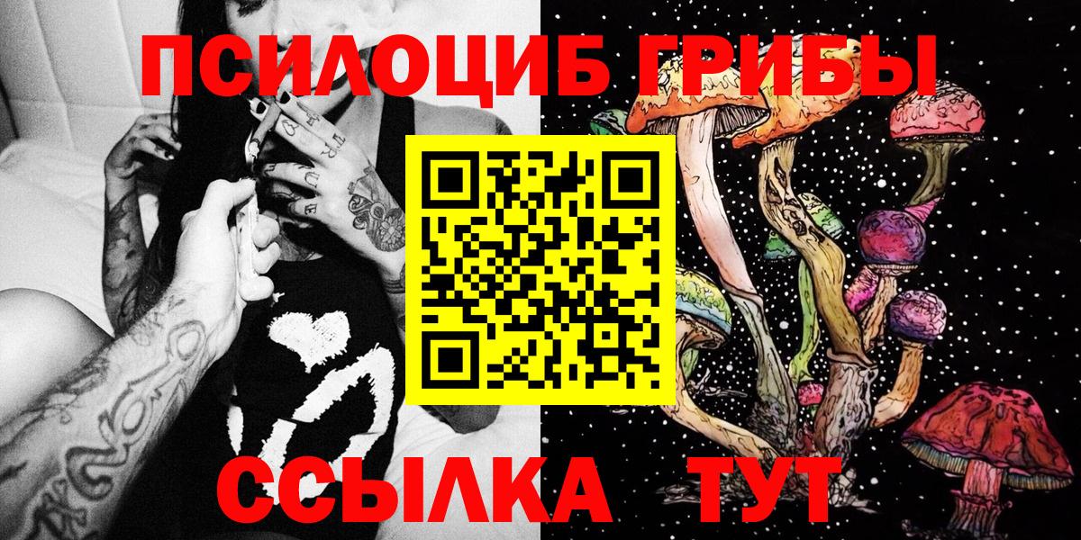 Галлюциногенные грибы Psilocybe Бор